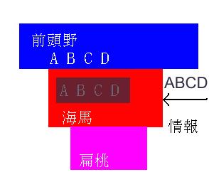 kaibaABCD.JPG