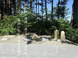 kaihamakohi.jpg