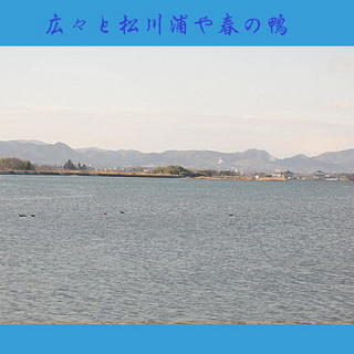 kamomomo11.jpg