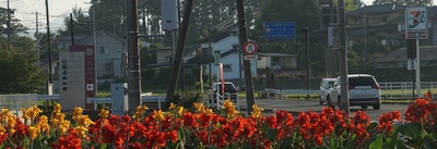 kannacrossu555.jpg