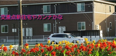 kannanew444.jpg