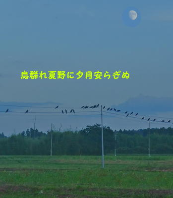 karasumoon1.jpg