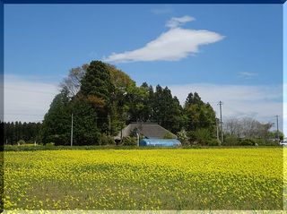 kayabukiii111.jpg