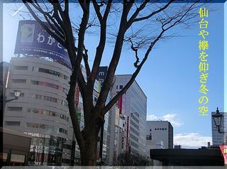 keyakusora111111.jpg