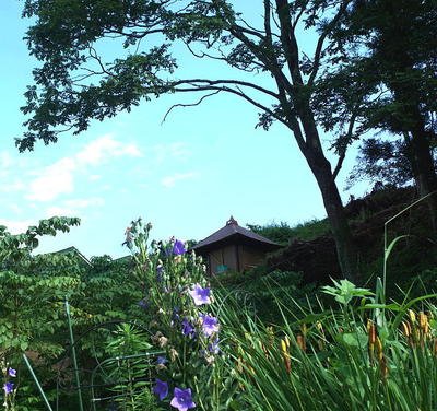 kikyou11.jpg
