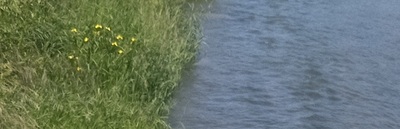kishouburiver.jpg