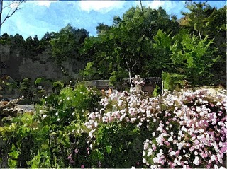 kitarose3333_FotoSketcher.jpg