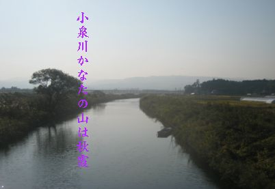 koizumirr1.jpg