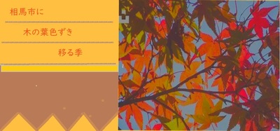 konohacity.jpg