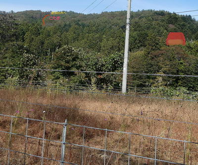 kotogikotaki11.jpg