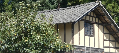 kurakaki.jpg