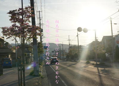 kyochikutou111.jpg
