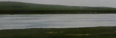 lakecow2.jpg
