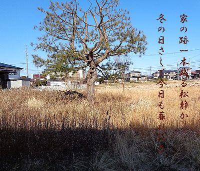 matuakichi1.jpg