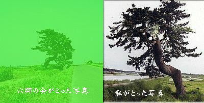 maturoku1.jpg
