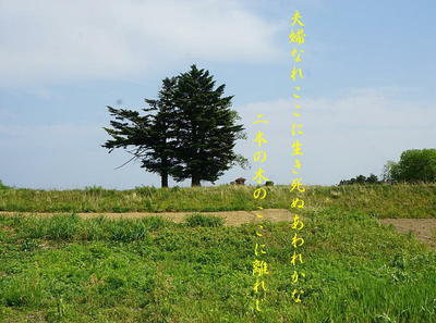 meotoki111.jpg