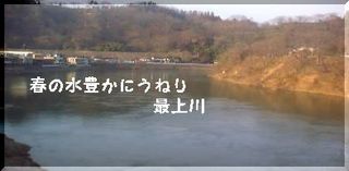 mogamiharu.jpg