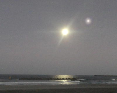 moonstar11111.jpg