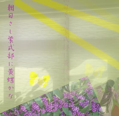 murasakishiki12321.jpg