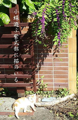 murasakishikibu111.jpg