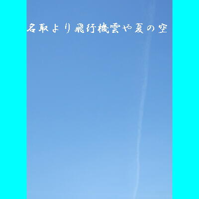 natoriflight.jpg