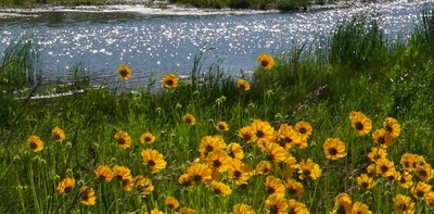 natugikuriver.jpg