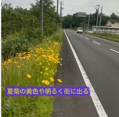 natugikuyellow.jpg