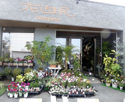 newflowershop.jpg