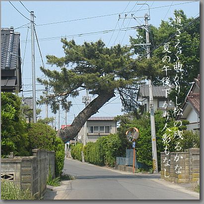 newmatumagaru1.jpg