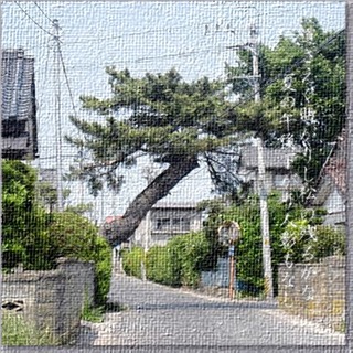 newmatumagaru1[1]_FotoSketcher.jpg
