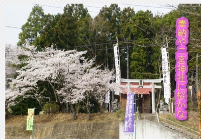ninomiyashurain.jpg