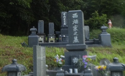 nishihatabochi.jpg