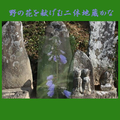 nonohanajizou123.jpg