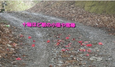 ochitubaki22.jpg