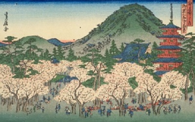 omurobosakura.jpg