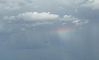 rainbowdove2.jpg