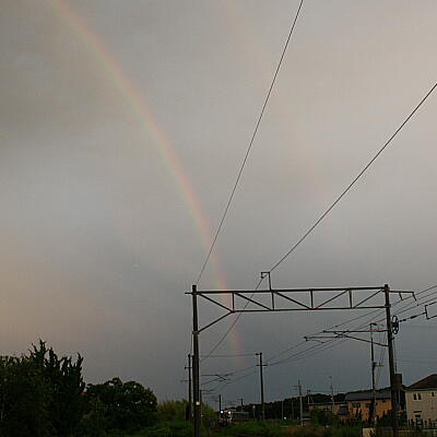 rainbowev11.jpg