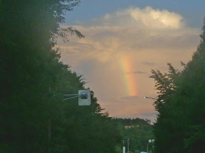 rainbowroad11.jpg