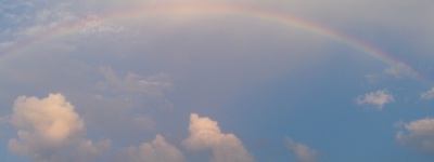 rainbowsawallow.jpg