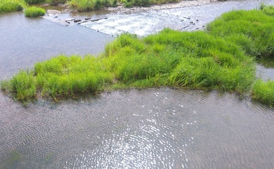riverstream.jpg