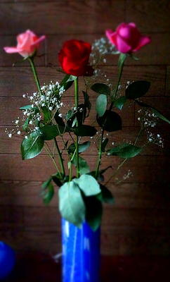 rosephoto55.jpg