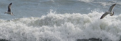 roughwaves.jpg
