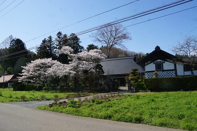 sakurahouse.jpg