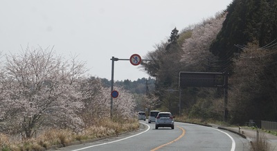 sakuraro-do6.jpg