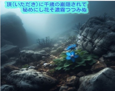 secretblueflower.jpg