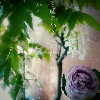 shinoburedooooo12344.jpg