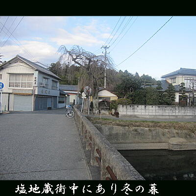 shiojizooo1232.jpg