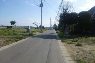 shirahagiiii1.jpg