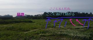 shiroshoubuuu12345.jpg
