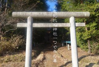 shurainnn111.jpg
